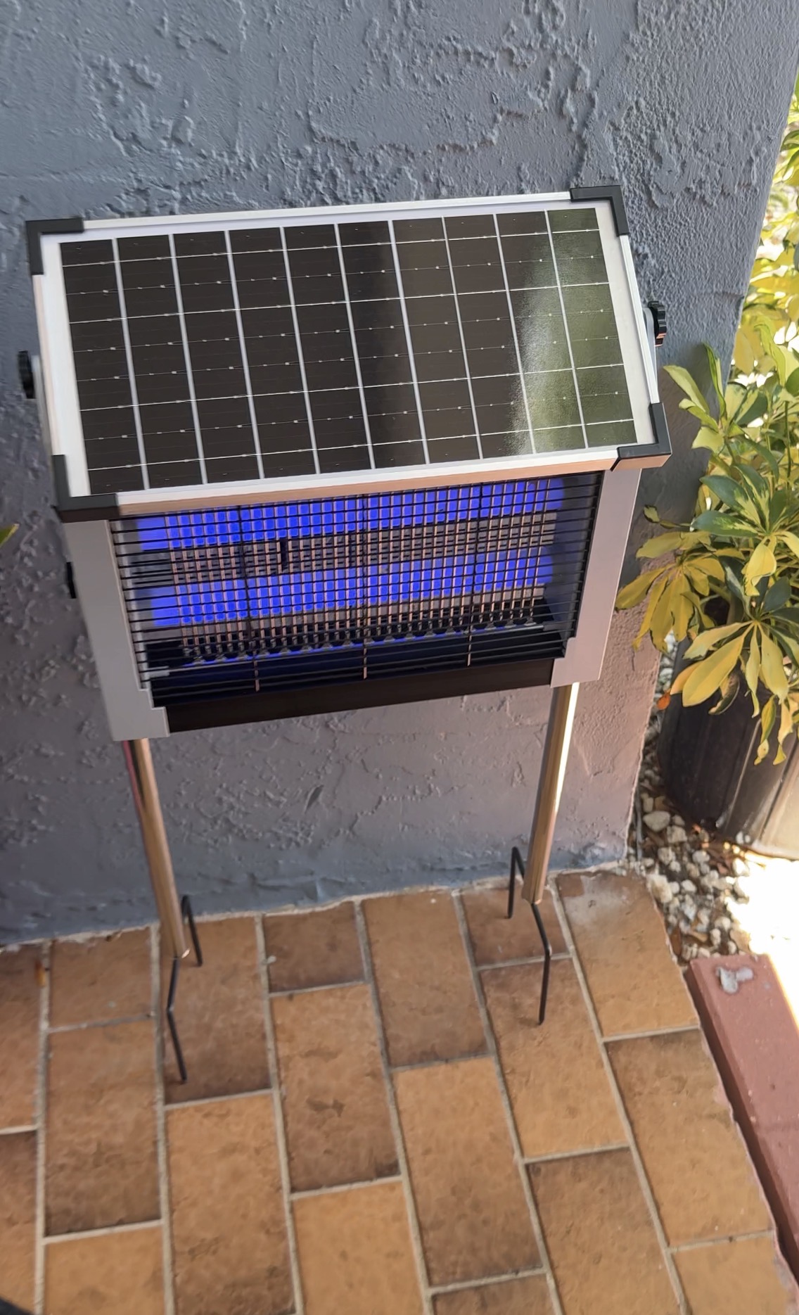 Customer photo of MozzieZap glowing blue at night