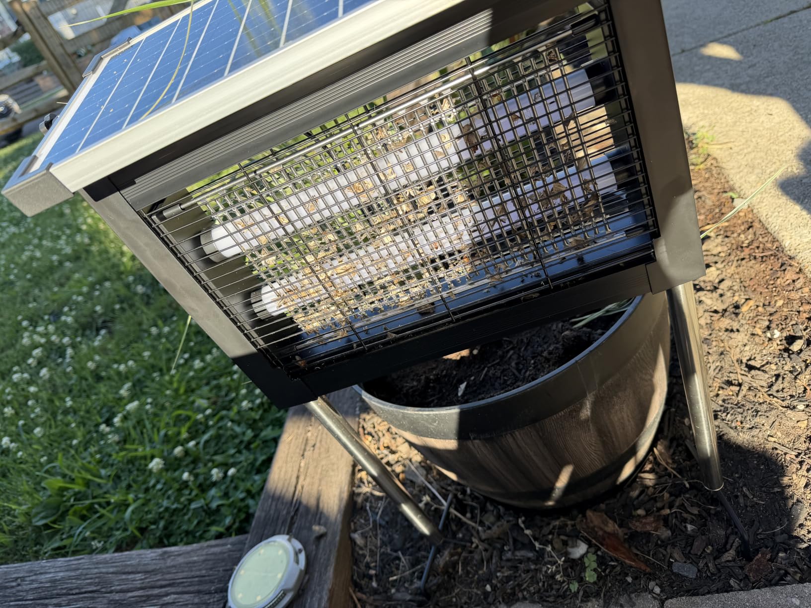 Customer photo looking down into the MozzieZap catch tray
